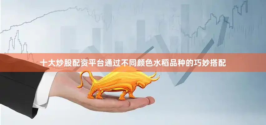 十大炒股配资平台通过不同颜色水稻品种的巧妙搭配
