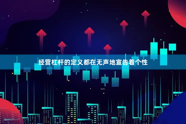 经营杠杆的定义都在无声地宣告着个性