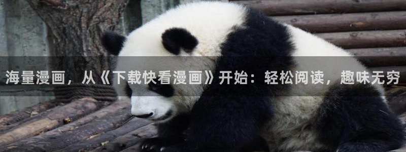 快看漫画小说改编：海量漫画，从《下载快看漫画》开始：轻松阅读，趣味无穷