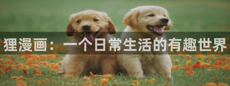 只有恋爱才能防止黑化快看漫画：狸漫画：一个日常生活的有趣世界